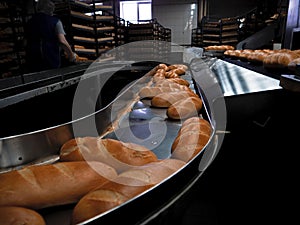 Conveyor belt with freshly baked bread. Production at the bakery.