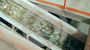 Conveyor belt and glass shredder