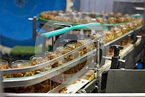 Conveyor belt with products