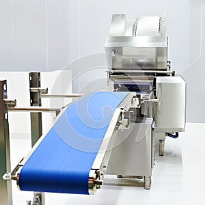 Conveyor belt skinning machine for food plant