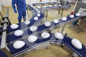 Conveyor belts in gmo factory