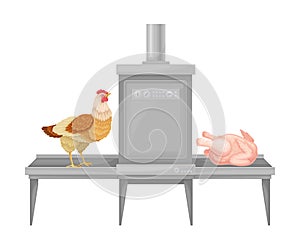 Conveyor Line with Chicken Skinning Process Vector Illustration
