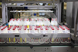 Conveyor with milk at Wimm-Bill-Dann plant