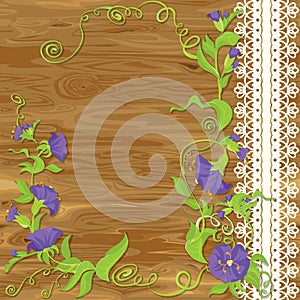 Convolvulus Flowers on wood baskground photo