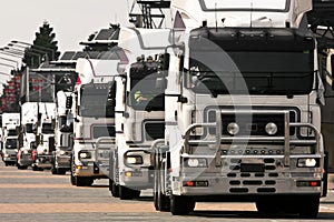 Convoy of white heavy trucks