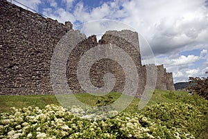 Conwy Town Wall photo