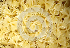 Coocked italian pasta farfalle with oilve oil top view. Texture of Italian pasta macaroni bows farfalle. Carbohydrates food.