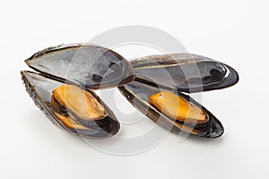 Coocked mussels isolated over white