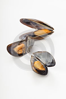 Coocked mussels over white photo