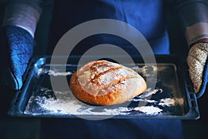 A cook in a apron and blue potholders holds a baking tray with wheat bread. Home cooking