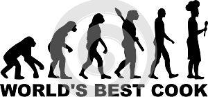 Cook Cooking evolution