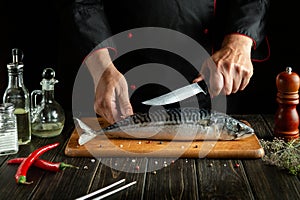 The cook cooks scomber or mackerel in the kitchen. The concept of cooking fish food for a restaurant or hotel. Knife in the chef