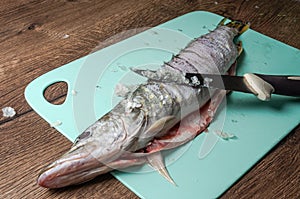 The cook cuts raw pike fish on a cutting board with a knife