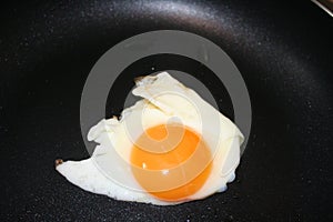 cook one fried egg on pan