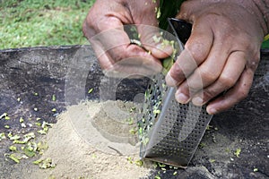 Cook Islander man prepares Kava drink in Rarotonga Cook Island