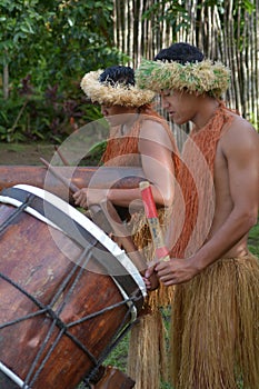 Cook Islander men plays music on a large wooden drums in Rarotonga Cook Islands photo