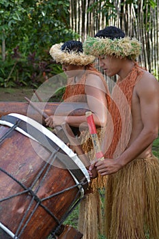 Cook Islander men plays music on a large wooden drums in Rarotonga Cook Islands