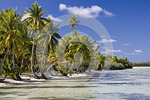 Cook Islands - Tropical Paradise - South Pacific