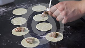 Cook putting minced meat on dough. Art. Close-up of professional chef applying minced meat for dumplings. Cooking