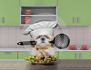 Cook shitzu dog holding a spoon