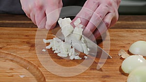 Cook slices onions on a cutting board. Slice, natural.