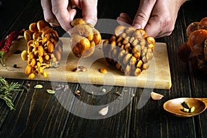 The cook sorts mushrooms with his hands on the kitchen table. Preparing dietary Armillaria mellea for breakfast with aromatic