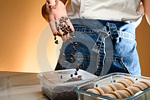 Cook sprinkle a natural coffee beans in plastic container with coffee beans