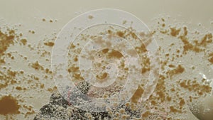 A cook throws a flour on a transparent table