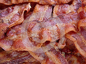 Cooked Bacon photo