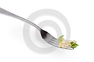 Cooked bent tube shaped pasta on fork on white background