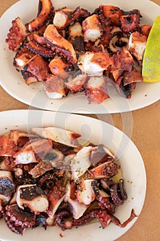 Cooked boiled and grilled octupus greek style on a white plate