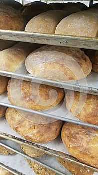 Cooked bread in bakery shop