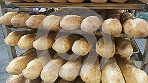 Cooked bread in bakery shop