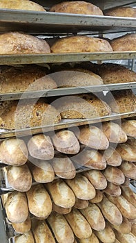 Cooked bread in bakery shop