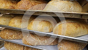 Cooked bread in bakery shop