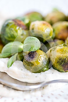 Cooked Brussels sprouts and Puree