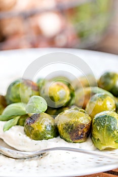 Cooked Brussels sprouts and Puree