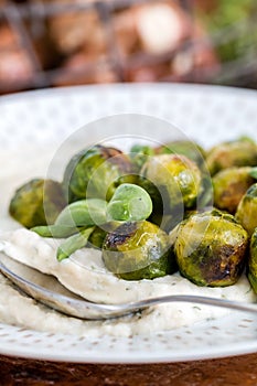 Cooked Brussels sprouts and Puree