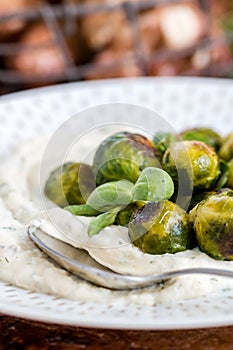 Cooked Brussels sprouts and Puree