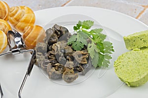 Cooked Burgundy snails in white plate