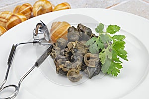 Cooked Burgundy snails in white plate