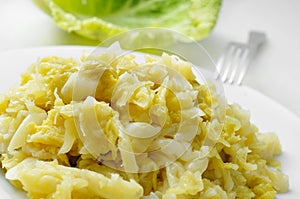 Cooked cabbage photo