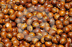 Cooked chestnuts pile