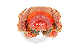 Cooked Chinese hairy crab isolated on white