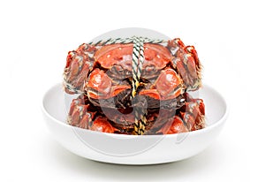 Cooked Chinese hairy crab isolated on white