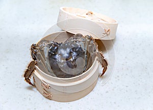 Cooked Chinese hairy crab  on white