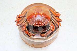 Cooked Chinese hairy crab  on white