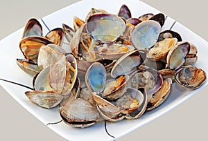 Cooked Clams