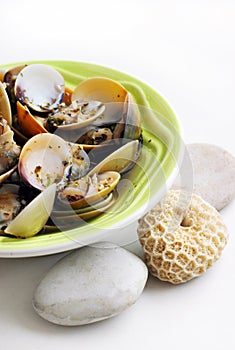 Cooked clams in white wine