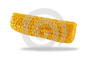 Cooked corn cob, sweet corn